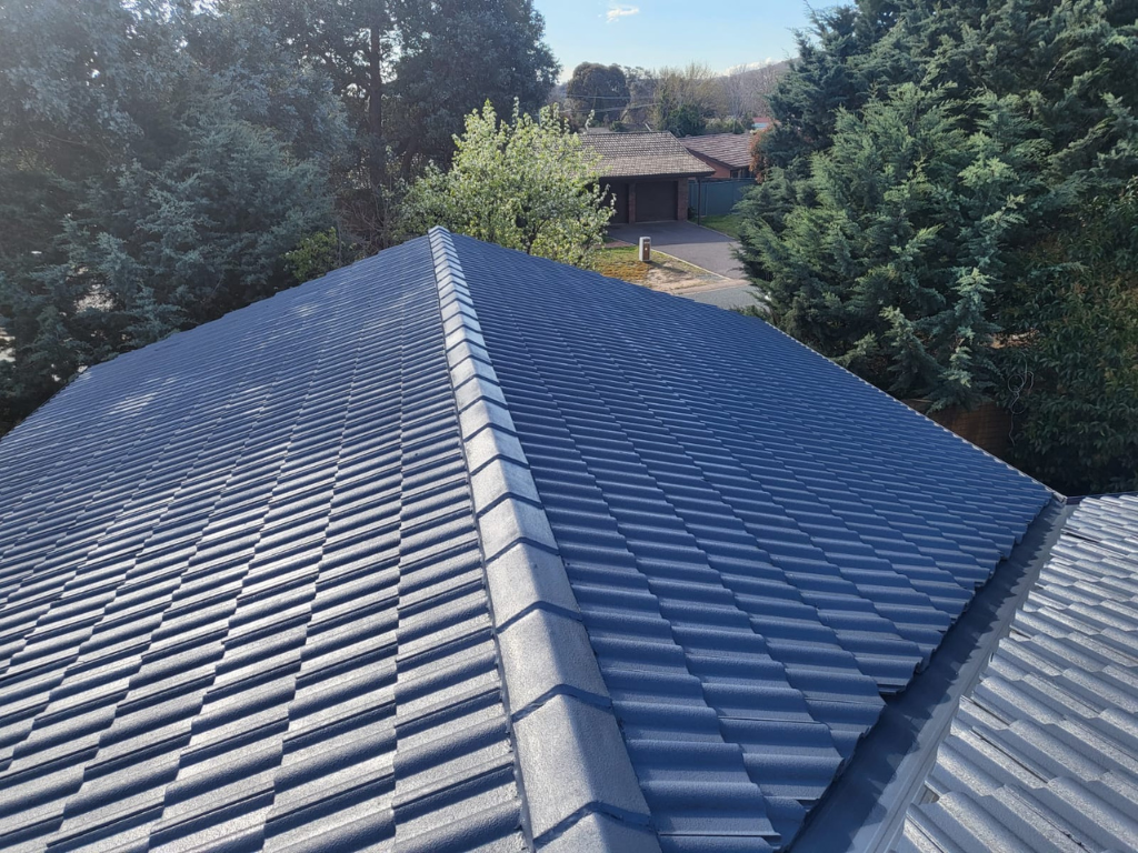 roof painting Adelaide